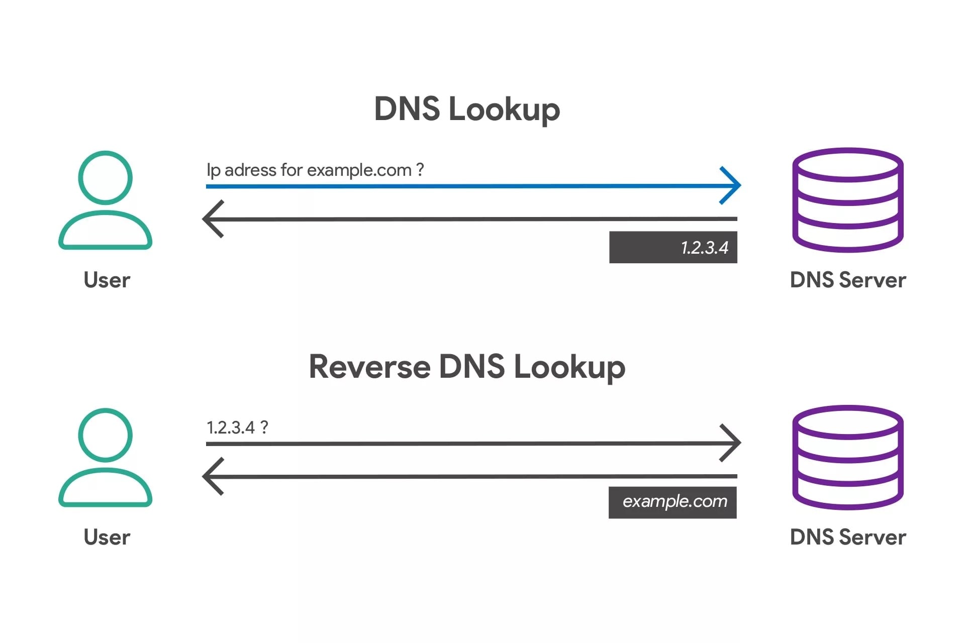 reverse dns lookup