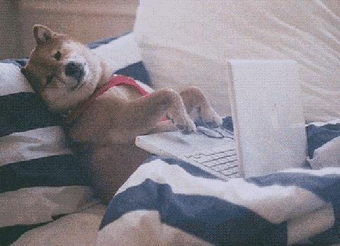 Emailing e GIFs animados: é uma boa ideia?