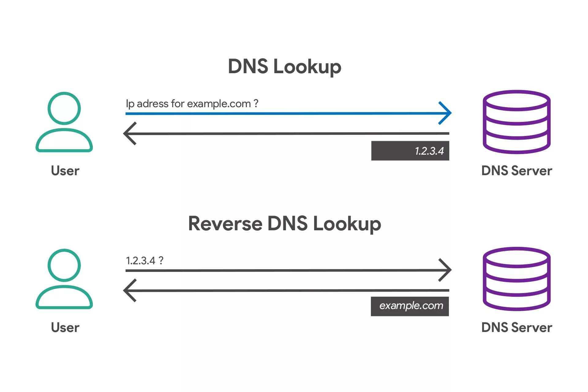 reverse dns lookup